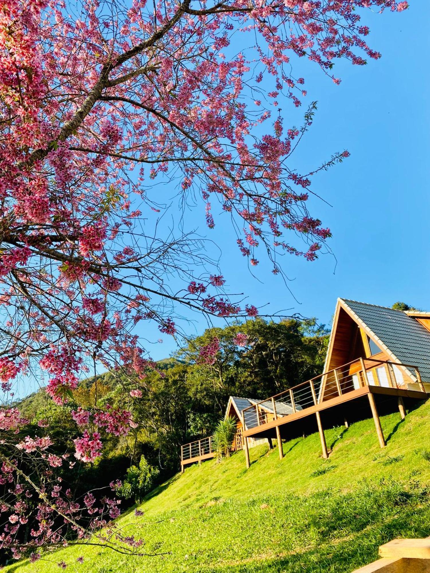 Chales Fazenda Floresta Das Araucarias Cunha Exterior foto