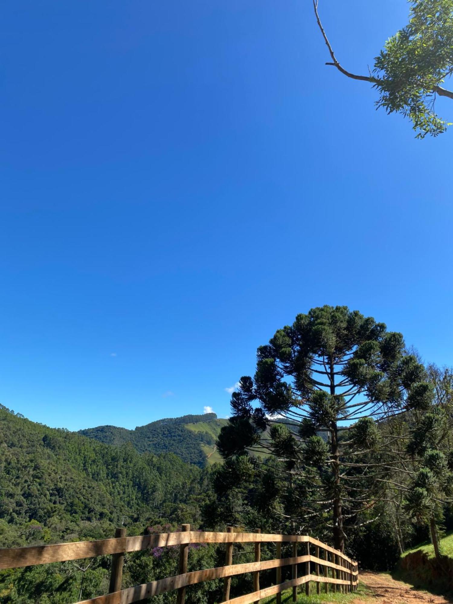Chales Fazenda Floresta Das Araucarias Cunha Exterior foto