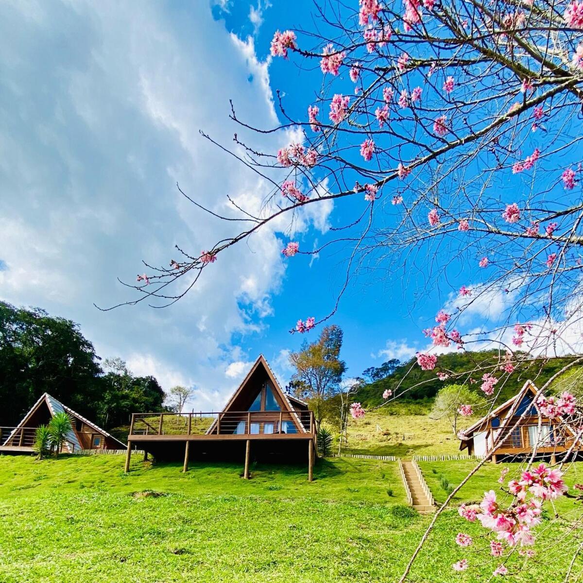 Chales Fazenda Floresta Das Araucarias Cunha Exterior foto